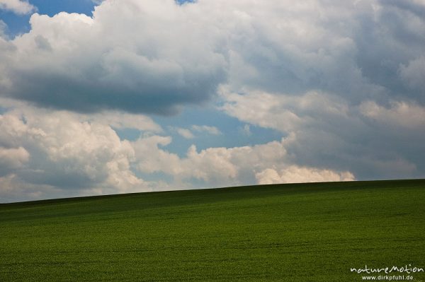 Wolken über Getreidefeld, Witzenhausen, Deutschland