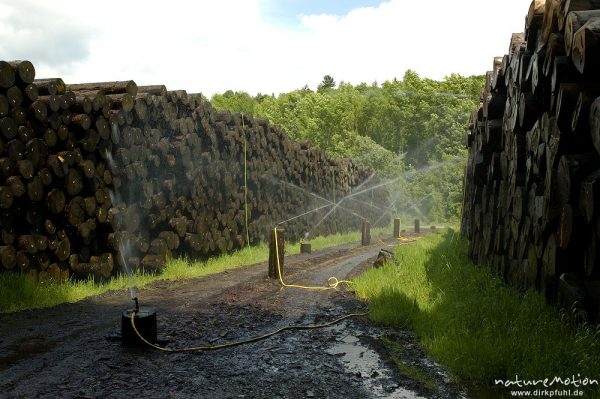 Holzlagerplatz mit Befeuchtung, Wassersprenger, Werratal, Hann. Münden, Deutschland