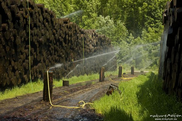 Holzlagerplatz mit Befeuchtung, Wassersprenger, Werratal, Hann. Münden, Deutschland