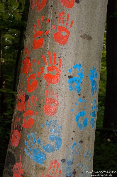 Handabdrücke auf Baumstamm, Abschiedsfest der Seepferdchen, AWO-Kindergarten, Göttingen, Deutschland