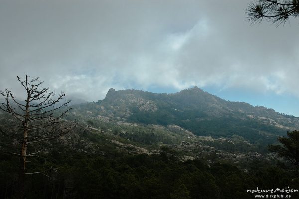 nebelverhangene Berge, Bavella-Gruppe, Korsika, Frankreich