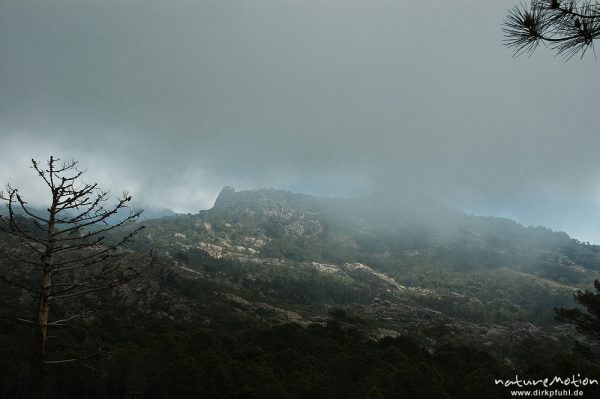 nebelverhangene Berge, Bavella-Gruppe, Korsika, Frankreich