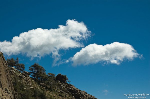 Wolke über Felsen, Kiefern, Bavella, Korsika, Frankreich