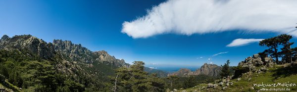 Berglandschaft, Punta U Pargolo, Schwarzkiefern, Col de Bavella, Korsika, Frankreich