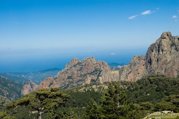 Berglandschaft, Punta di Ferriate, Schwarzkiefern, Col de Bavella, Korsika, Frankreich