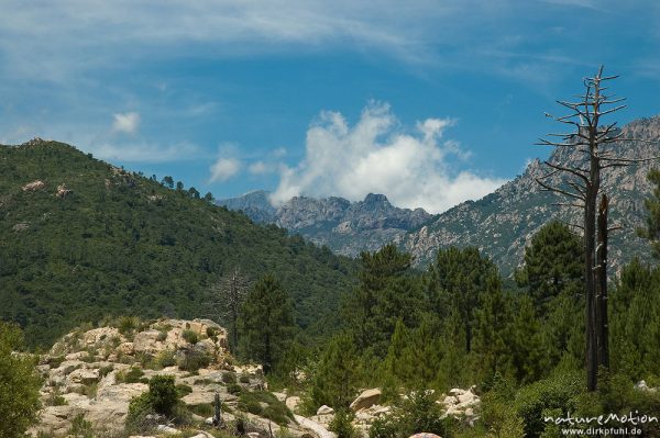 Berglandschaft, Blick auf die Bavella-Gruppe, Tal des Cavo, Korsika, Frankreich