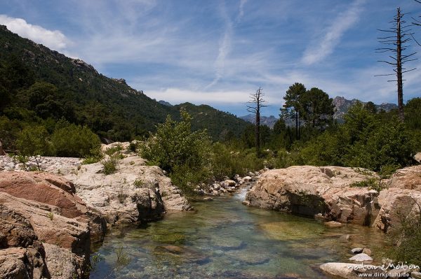 Gebirgsbach mit ausgewaschenen Felsen, Tal des Cavo, Korsika, Frankreich