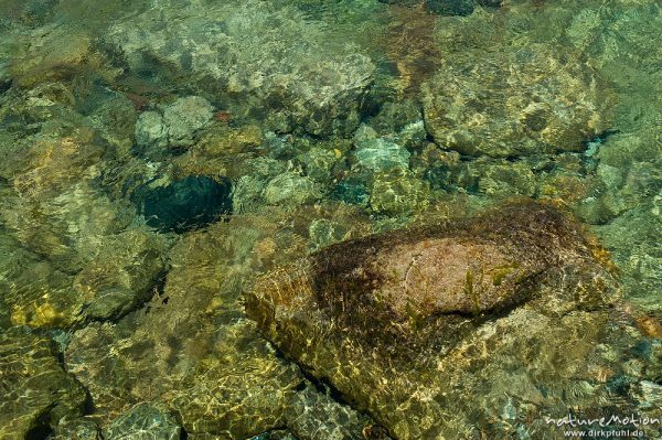 Wellen auf Wasseroberfläche, Steine, Farbspiel, Tal des Cavo, Korsika, Frankreich