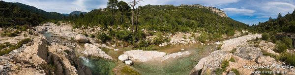 Gebirgsbach zwischen Felsen, Tal des Cavo, Korsika, Frankreich
