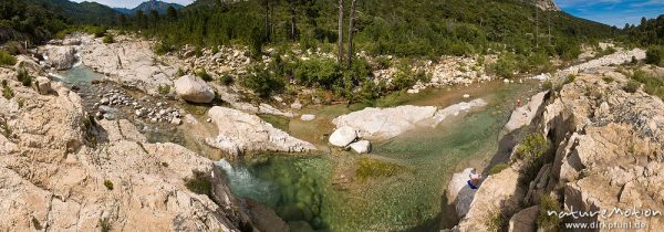 Gebirgsbach zwischen Felsen, Tal des Cavo, Korsika, Frankreich