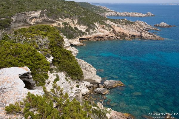 Felsküste mit verwitterten Kalksteinfelsen, Capo Pertusato, Korsika, Frankreich