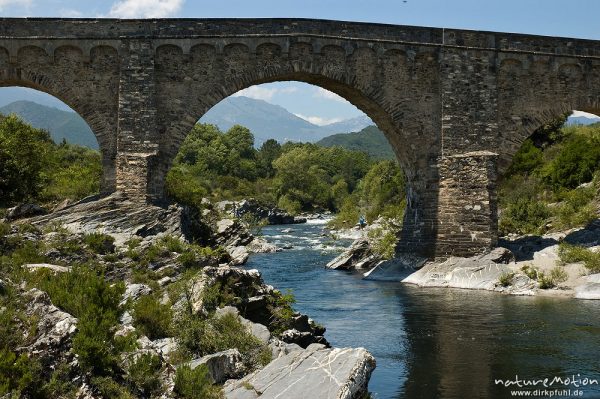 Genueserbrücke über den Tavignano, bei Altiani, Korsika, Frankreich