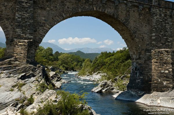 Genueserbrücke über den Tavignano, bei Altiani, Korsika, Frankreich