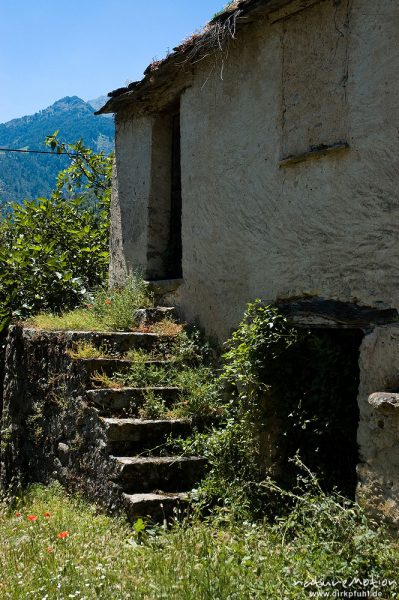 verfallenes Haus mit Steintreppe, Restonica-Tal, Korsika, Frankreich