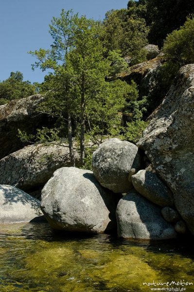Felsen im Bachbett, übereinander gestapelt, Restonica-Tal, Korsika, Frankreich