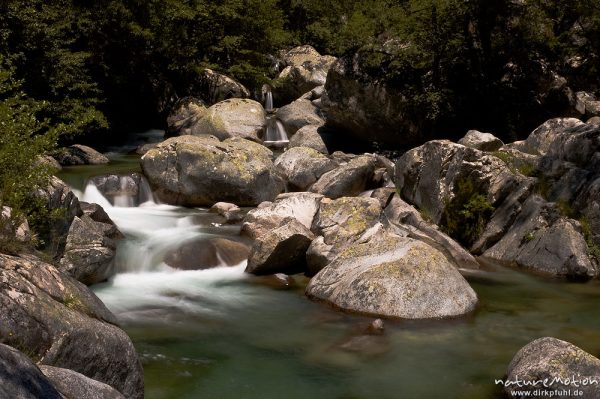 Gebirgsbach mit glatt geschliffenen Felsen, Schwarzkiefern, Manganello-Tal, Korsika, Frankreich