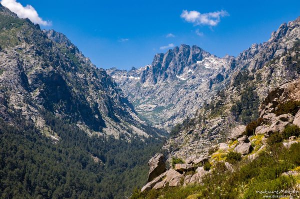 Restonica-Tal, Blick Talaufwärts, Capu a u Chiostro, Korsika, Frankreich