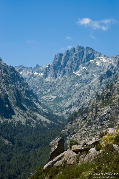 Restonica-Tal, Blick Talaufwärts, Capu a u Chiostro, Korsika, Frankreich