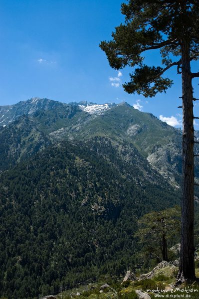 Monte Rotondo, Restonica-Tal, Blick vom Aufstieg zum Plateau d’Alzo, Korsika, Frankreich