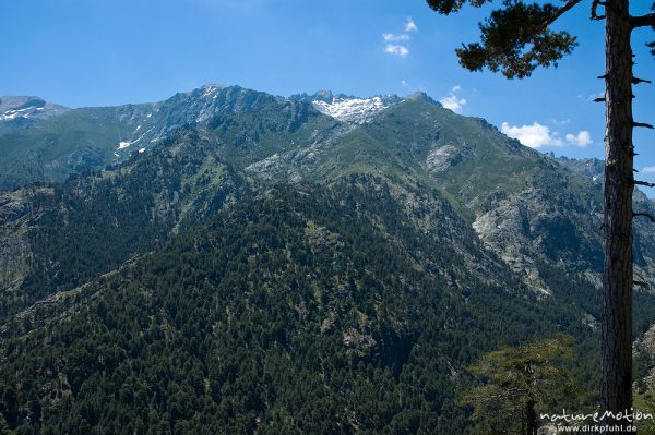 Monte Rotondo, Restonica-Tal, Blick vom Aufstieg zum Plateau d’Alzo, Korsika, Frankreich