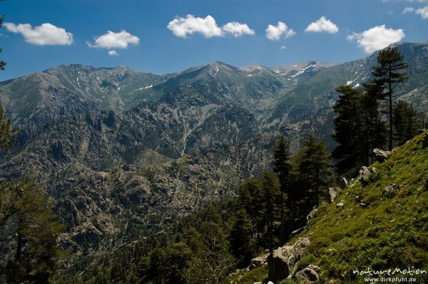 Restonica-Tal, östliche Talseite, Korsika, Frankreich