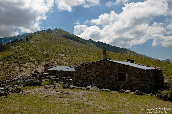 Steinhütte, Bergerie de Tragone, Plateau d'Alzo, Korsika, Frankreich