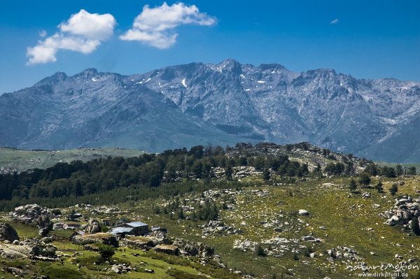 Massiv des Monte Cinto, Plateau d'Alzo mit Bergerie de Cappelacio, Korsika, Frankreich