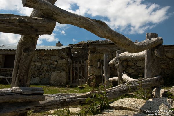 Zäune, Berghütte, Begerie de Cappelacio, Korsika, Frankreich