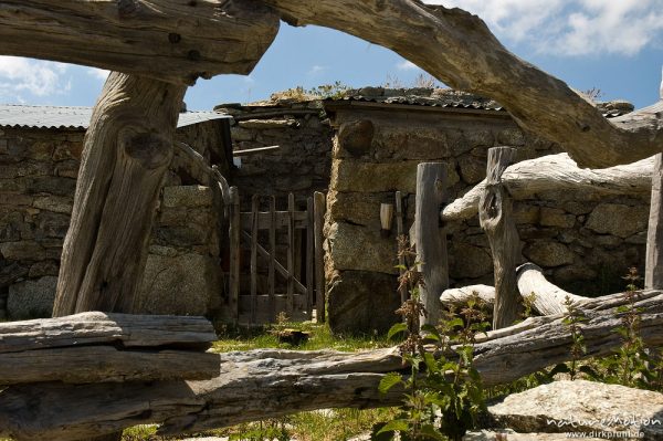 Zäune und Tor, Berghütte, Begerie de Cappelacio, Korsika, Frankreich