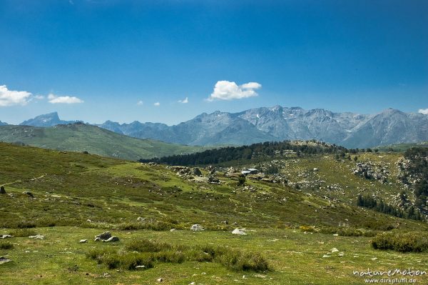 Plateau d'Alzo mit Bergerie de Colleta, Blick auf Paglia Orba und Massiv des Monte Cinto, Korsika, Frankreich