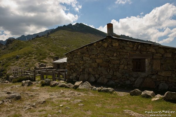 Berghütte, Begerie de Cappelacio, Korsika, Frankreich
