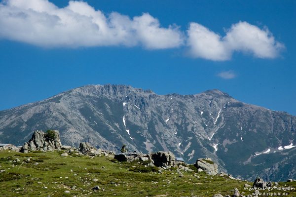 Gebirgslandschaft, Bergerie de Colleta, Plateau d'Alzo, Korsika, Frankreich