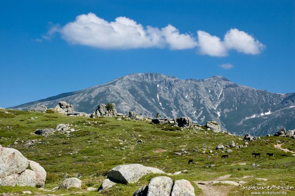 Gebirgslandschaft, Bergerie de Colleta, Plateau d'Alzo, Korsika, Frankreich