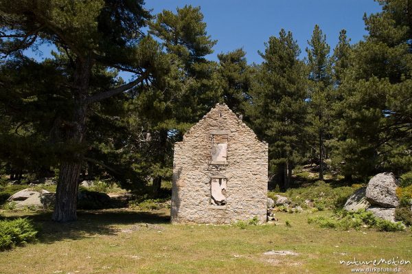 altes Forsthaus, Plateau d'Alzo, Korsika, Frankreich