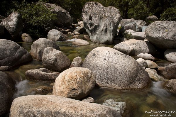 Bergbach mit rundgeschliffenen Felsen, Tavignano bei Corte, Korsika, Frankreich