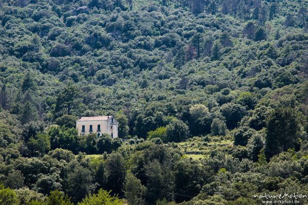 altes Gutshaus am Berghang zwischen Bäumen, Terrassen und zugewucherte Felder, Tavignano-Tal bei Corte, Korsika, Frankreich
