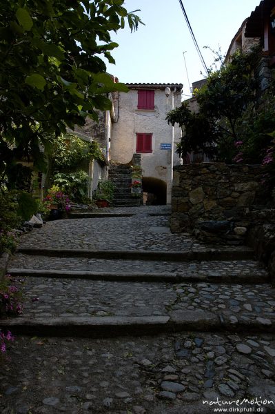 Treppen, gepflasterte Gasse, Belvedere, Corte, Korsika, Frankreich