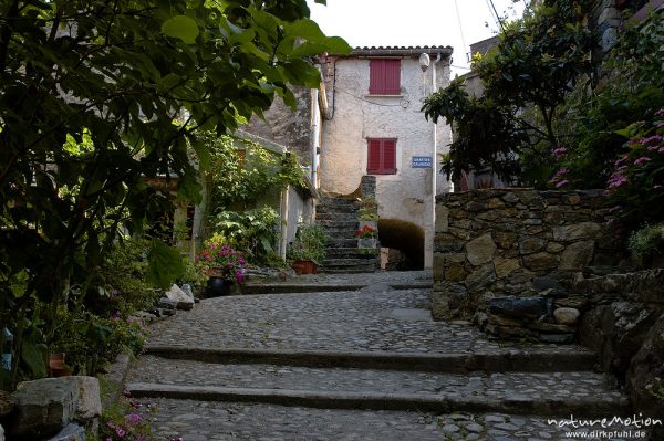 Treppen, gepflasterte Gasse, Belvedere, Corte, Korsika, Frankreich