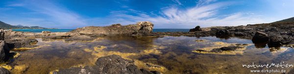 Gezeitenbecken mit Algen und Felsen, Bodri, Korsika, Frankreich