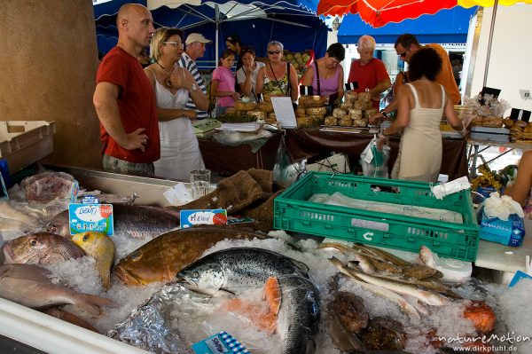 Fischstand, Markthalle mit Verkaufsständen, Ille Rousse, Korsika, Frankreich