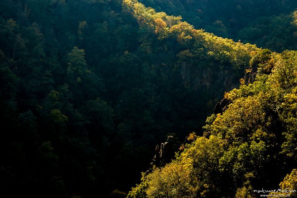 Berghang mit Herbstfärbung, Streiflicht, Bodetal, Deutschland