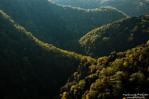 Bodetal, Berghänge mit Herbstfärbung, Streiflicht, Bodetal, Deutschland