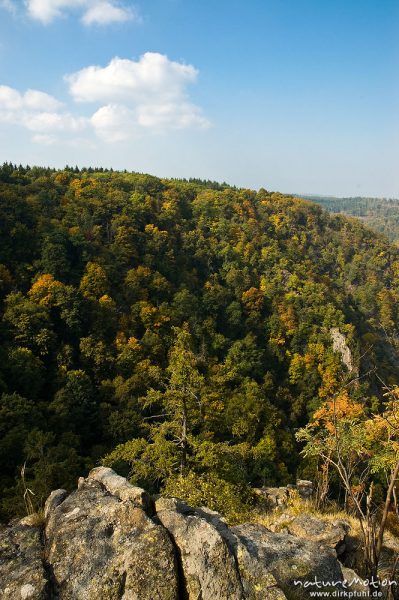 Herbstwald, Bodetal, Deutschland