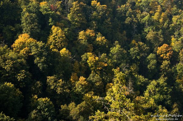 Herbstwald, Bodetal, Deutschland