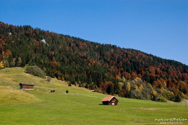 Heuschober, Wiesen und Herbstwald, Geroldsee, Klais, Deutschland