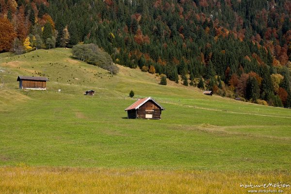 Heuschober, Wiesen und Herbstwald, Geroldsee, Klais, Deutschland