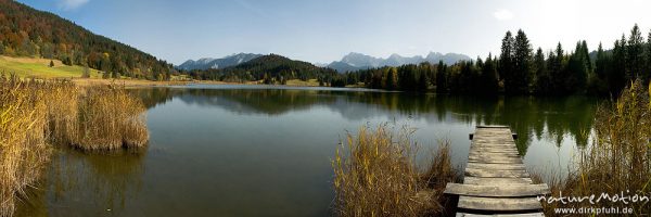 Alpensee mit Schilfgürtel und Steg, Geroldsee mit Blick auf Karwendel, Klais Oberbayern, Deutschland