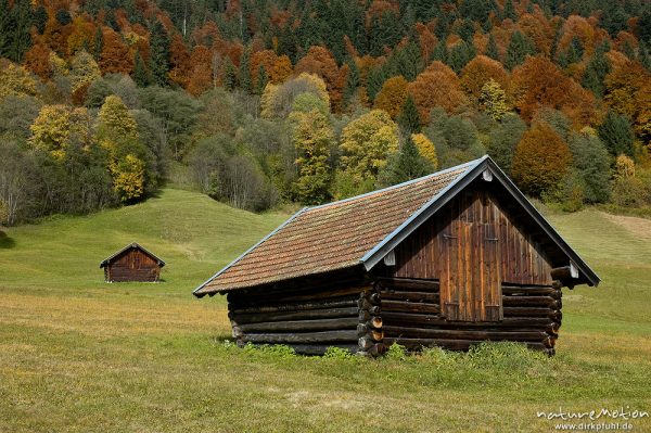 Heuschober, Wiesen und Herbstwald, Geroldsee, Klais, Deutschland