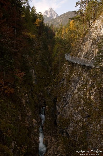 Klamm mit stählernem Steg, Leutaschklamm, Mittenwald Oberbayern, Deutschland