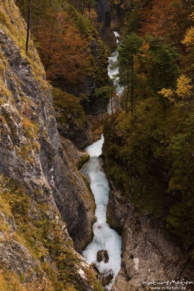 Klamm mit rauschendem Bach, Leutaschklamm, Mittenwald Oberbayern, Deutschland